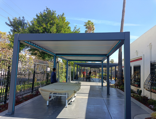 The Charm of a Summer Pergola